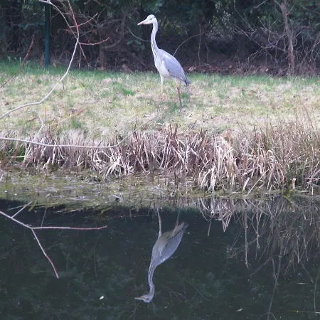 Am Teich * Grossschoenau