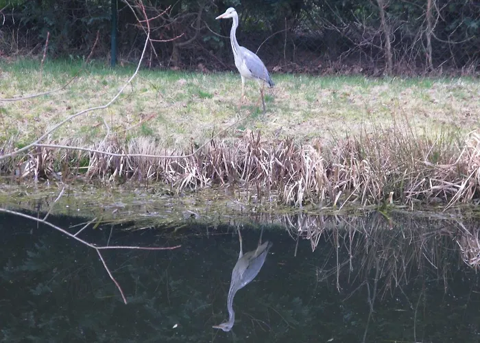 Am Teich * غروسشوناو